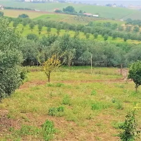 Brezza Tra Gli Alberi Alcamo